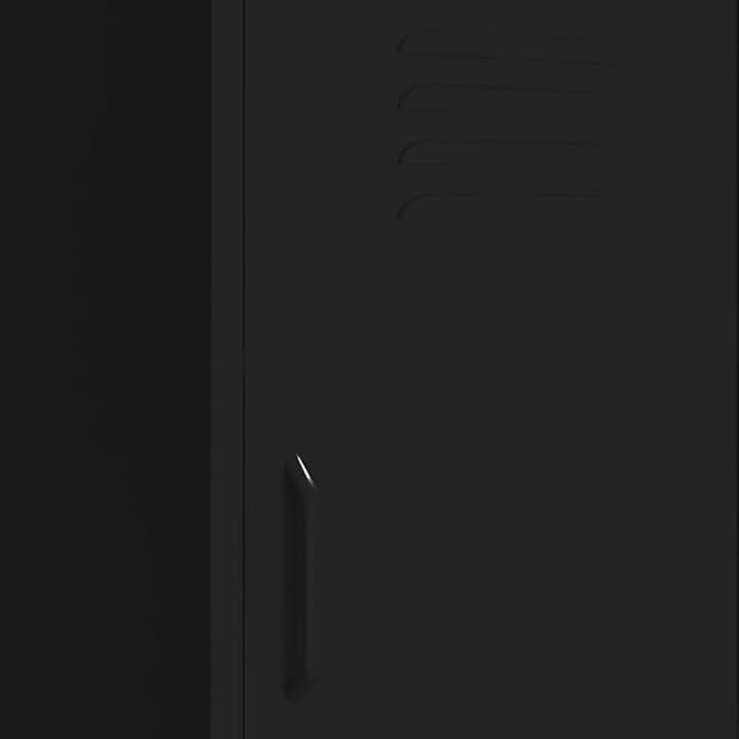 Metal Storage Cabinet with Single Doors and 2 Adjustable Shelves Steel Garage Storage Cabinet File Cabinet Counter Cabinet for Home Office Garage Gym School 16.7x13.8x40 Black -AA