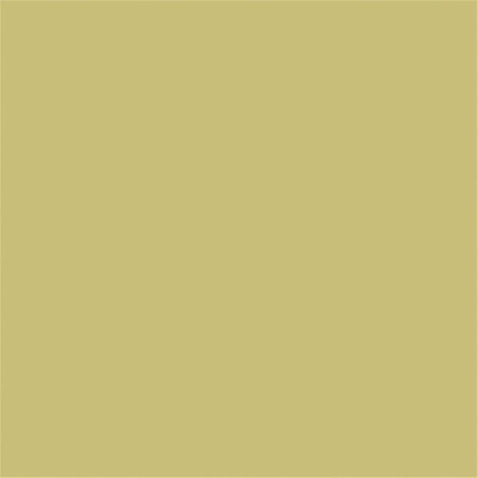 Pemberly Row Contemporary Velvet Upholstered Accent Chair Gray Polyester Fabric with Gold Stainless Steel Legs 33H x 30.5W x 30.5D Mid-Century Glam Bucket Design for Living Room or Home Decor