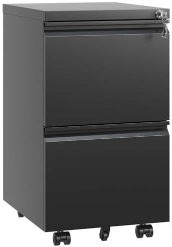 Black 2 Drawer Metal Mobile File Cabinet File Cabinet on Wheels for Letter/Legal/A4 File Under Desk Metal Rolling File Cabinets for Home OfficeMobile Filing Cabinet
