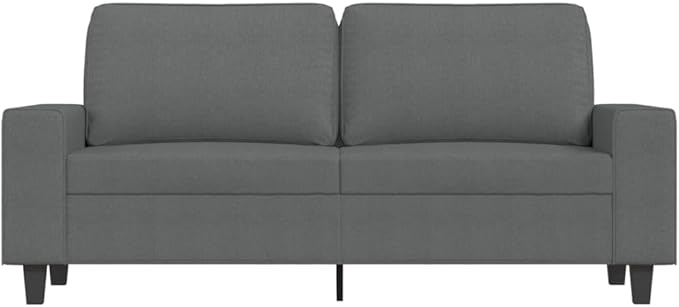 vidaXL 2-Seater Fabric Sofa – Simple and Modern Design Comfortable Heavy-Duty Dark Gray Couch – Ideal for Living Room Lounge Office