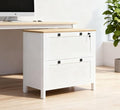 File Cabinet with Lock 2 Drawer Small Filing Cabinet Under Desk Storage Organizer with Locking Drawers for Home OfficeAssembly RequiredWhiteOak