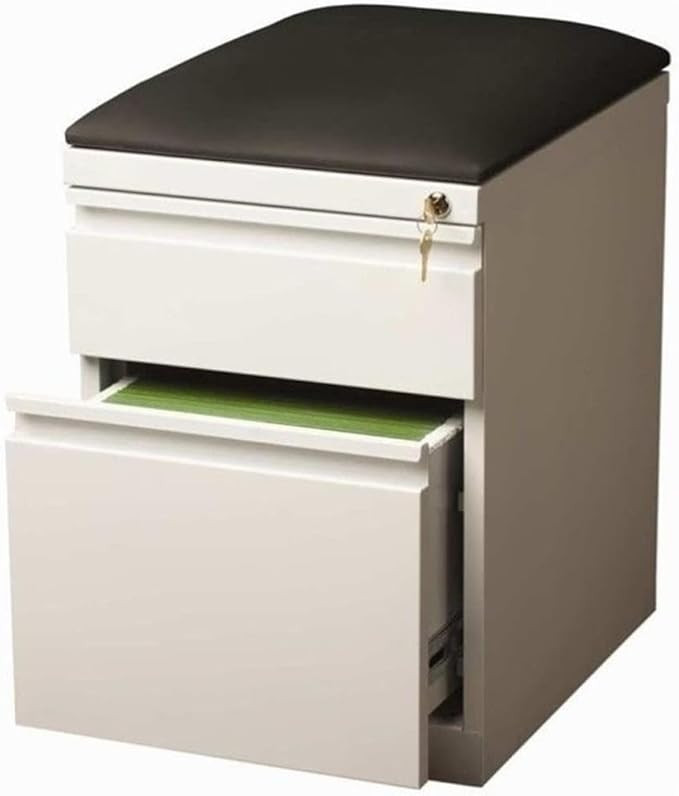 Pemberly Row 2-Drawer Metal Mobile Filing Cabinet 23.75 H x 15.00 W x 19.88 D Steel Construction White/Black Finish Hidden Casters Cushion Seat Letter-Size Hanging File Storage for Office Use