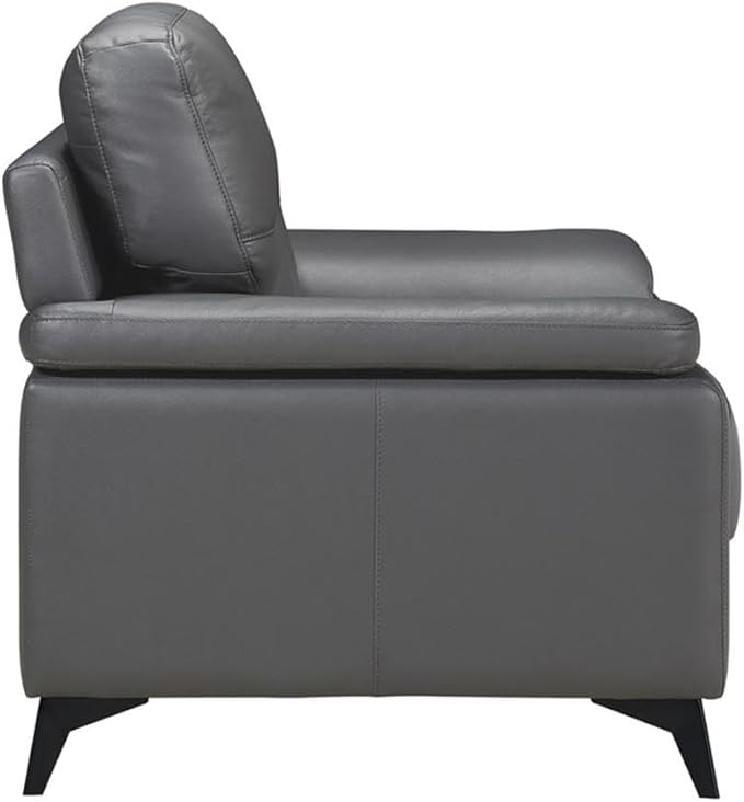 Lexicon Mischa Leather Match Sofa in Dark Gray