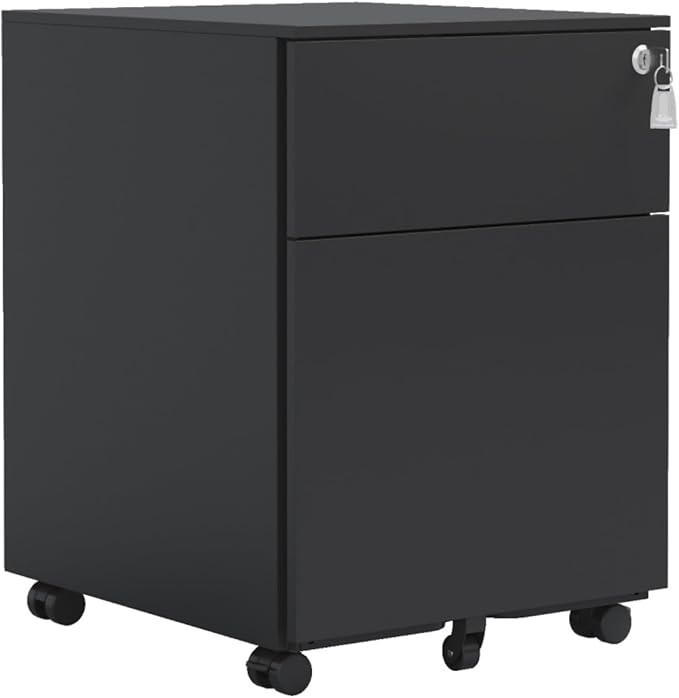 Hassyee Rolling Mobile 2 Drawer File Cabinet with 360° Rotation Caster Home Office File Cabinet with Full-Extension Slides for Legal/Letter/A4/F4 Size