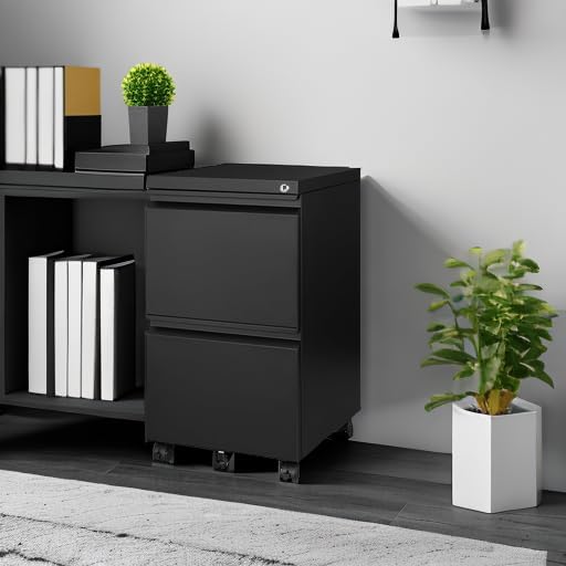 Mobile File Cabinet with Lock - 2 Drawer Small Rolling Cabinet for Home Office Legal/Letter/A4 (Black)