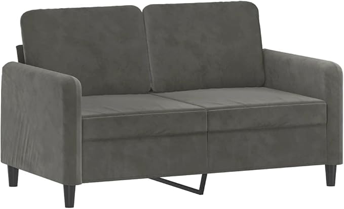 vidaXL 47.2 Durable 2-Seater Sofa in Dark Grey Velvet