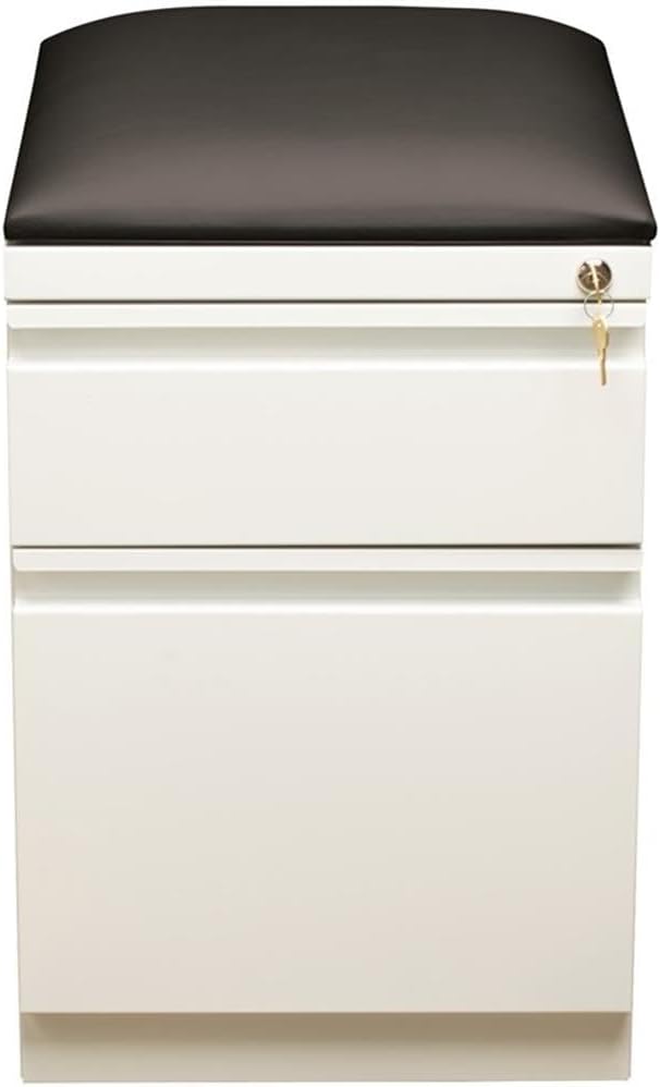 Pemberly Row 2-Drawer Metal Mobile Filing Cabinet 23.75 H x 15.00 W x 19.88 D Steel Construction White/Black Finish Hidden Casters Cushion Seat Letter-Size Hanging File Storage for Office Use