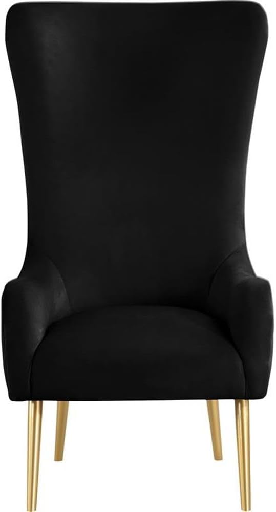 Meridian Furniture 536Black Alexander Collection Modern | Contemporary Velvet Upholstered Accent Chair with Sturdy Gold Metal Legs and Deep Button Tufting on Back 27 W x 33 D x 51 H