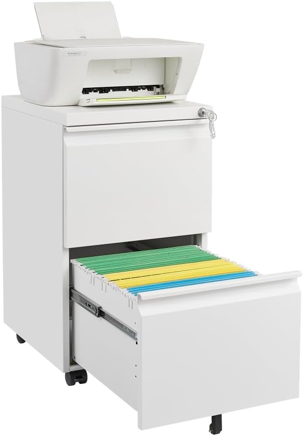 3-Drawer Mobile Filing Cabinet with Lock Metal Filing Cabinet to be Installation Required (2 Drawer White)