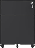 Mobile File Cabinet Steel Mobile File Cabinet with 2 Drawers Lock Steel File Cabinet for Home Office Letter A4(Black)