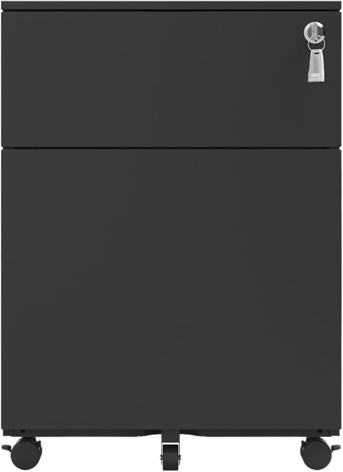 Mobile File Cabinets Steel Mobile File Cabinet with 2 Drawers Lock for Home Office Letter A4(Black)