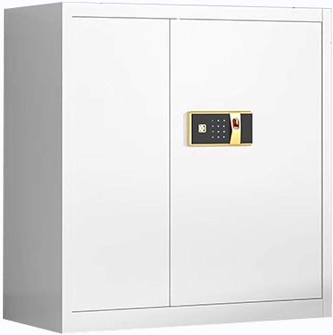 Steel Combination File Cabinet Office Fingerprint with Lock File Information Storage Cabinets Tin Cupboards(D)