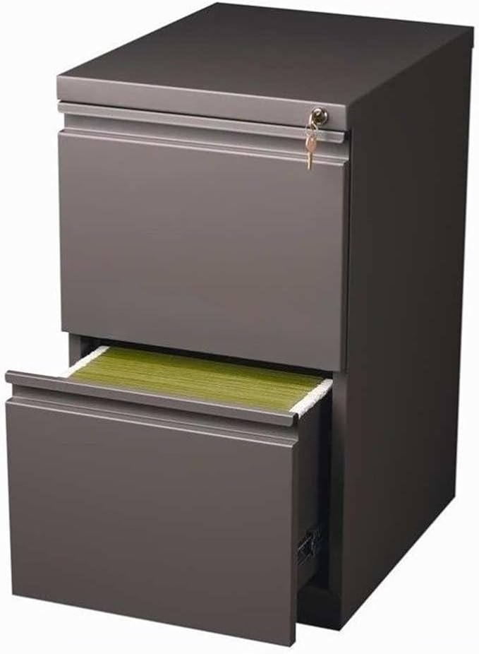 Pemberly Row 2-Drawer Metal Mobile Filing Cabinet 27.75 H x 15 W x 19.88 D Espresso Finish Commercial Grade Locking Letter File Drawers Hidden Casters Office Storage Solution