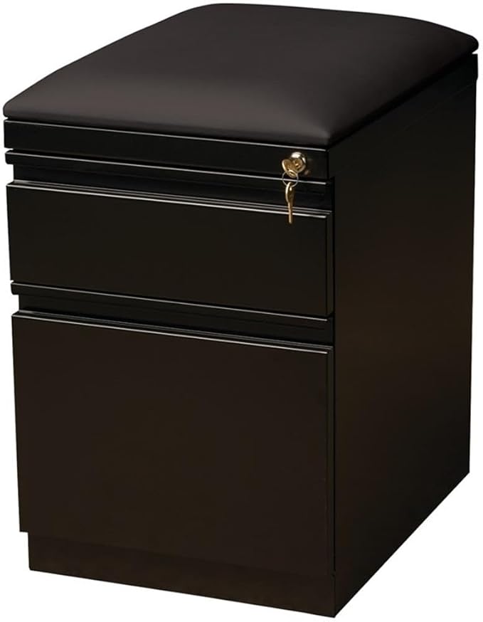 BOWERY HILL 2-Drawer Metal Mobile Filing Cabinet 23.75 in H Black Finish Includes Seat Cushion Hidden Casters Letter-Size Hanging File Storage Commercial Office Furniture