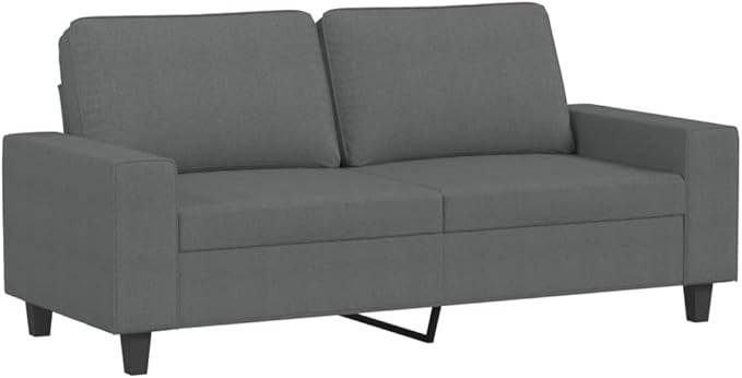 vidaXL 2-Seater Fabric Sofa – Simple and Modern Design Comfortable Heavy-Duty Dark Gray Couch – Ideal for Living Room Lounge Office