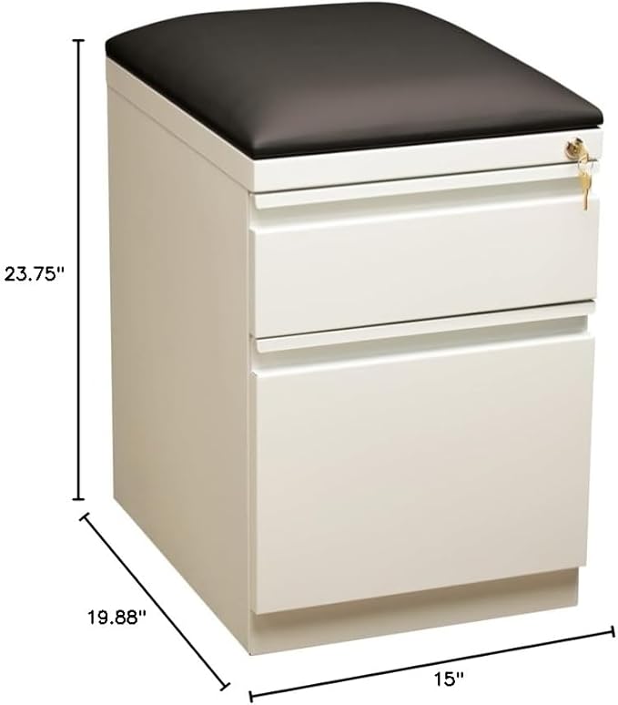 2-Drawer Metal Mobile Pedestal File Cabinet in White/Black