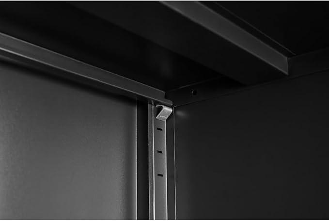 Suitable for Steel Storage cabinets in Living Rooms Kitchens and bedrooms and Office File Cabinet 2 Movable partitions (WG-Black)