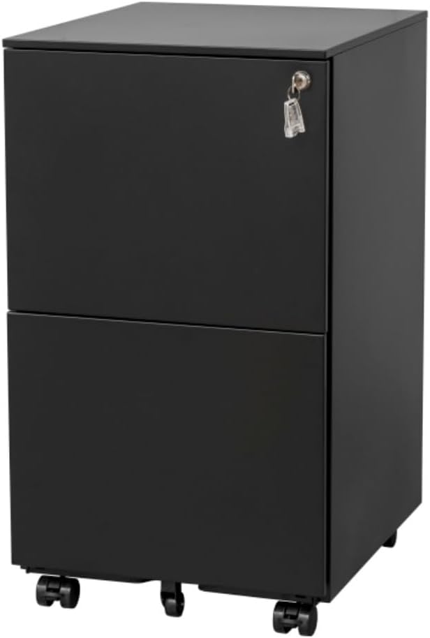 Mobile File Cabinet with Lock 2 Drawer Steel Filing Cabinet for Legal/Letter/A4/F4 Files Fully Assembled Except Wheels Cold-Rolled Metal Full Extension Drawers (Black)