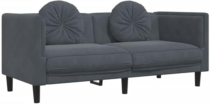 vidaXL Sofa Set with Pillows 2 Piece Settee Couch Living Room Seating Accent Upholstered Sofa Sofa Comfort Lounge Sofa Dark Gray Velvet