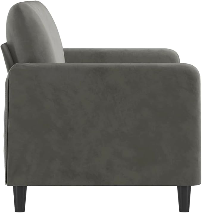 vidaXL 47.2 Durable 2-Seater Sofa in Dark Grey Velvet