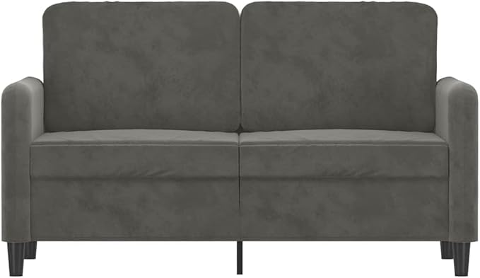 vidaXL 47.2 Durable 2-Seater Sofa in Dark Grey Velvet