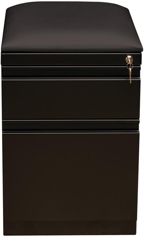 BOWERY HILL 2-Drawer Metal Mobile Filing Cabinet 23.75 in H Black Finish Includes Seat Cushion Hidden Casters Letter-Size Hanging File Storage Commercial Office Furniture