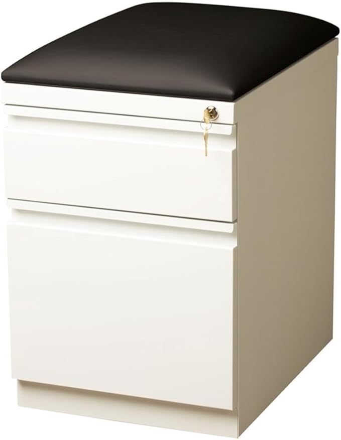 Pemberly Row 2-Drawer Metal Mobile Filing Cabinet 23.75 H x 15.00 W x 19.88 D Steel Construction White/Black Finish Hidden Casters Cushion Seat Letter-Size Hanging File Storage for Office Use