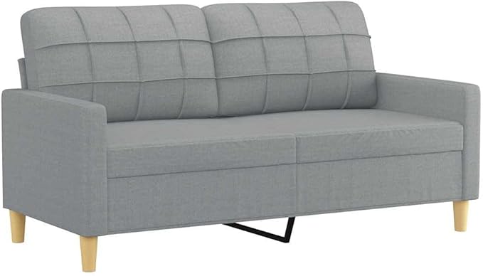 vidaXL Fabric Sofa 2-Seater Lounge Couch with Metal Frame Modern Light Gray Fabric Sofa for Living Room Lounge Bedroom Indoor Use Dimensions: 62.2 x 30.3 x 31.5