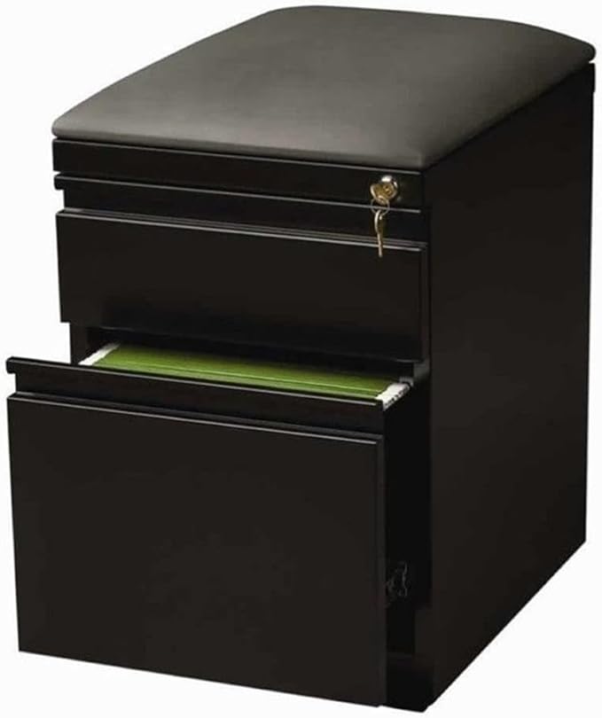 BOWERY HILL 2-Drawer Metal Mobile Filing Cabinet 23.75 in H Black Finish Includes Seat Cushion Hidden Casters Letter-Size Hanging File Storage Commercial Office Furniture