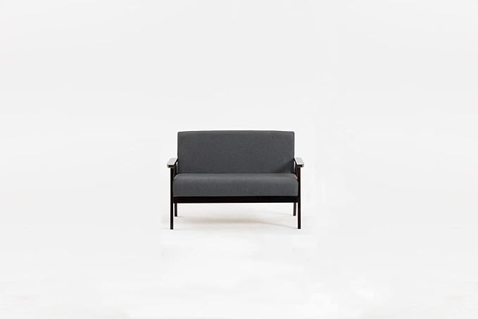 Lilola Home Bahamas 45 W Dark Gray Loveseat