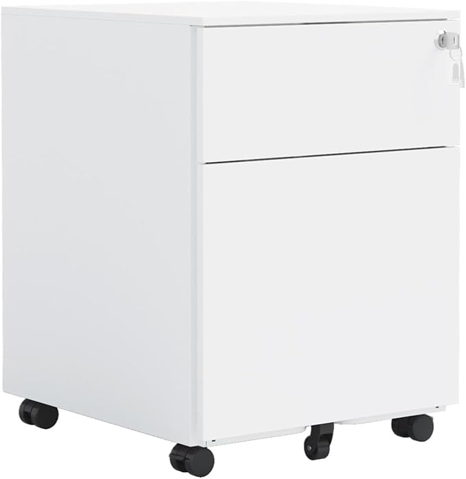 Mobile File Cabinet 2 Drawer Mobile File Cabinet with Lock Steel for Legal/Letter/A4/F4 Size Fully Assembled Except for Wheels