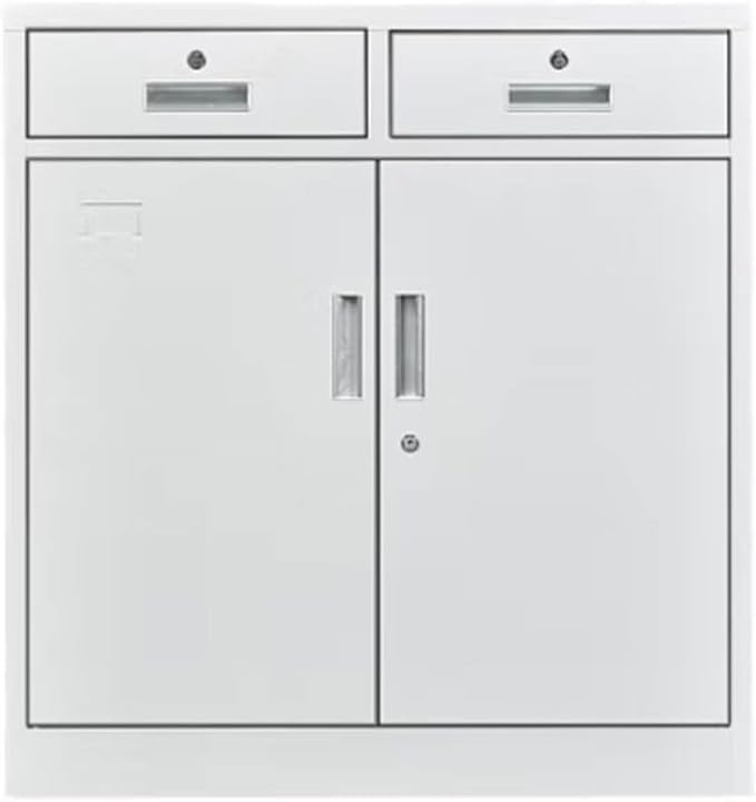 HASMI Filing Cabinet Metal Cabinets Steel Filing Cabinet with Lock 2-Drawer Low Cabinet Small Storage Cabinet with Locks Steel Cabinet for Office Home Storage Cabinet (Size : 1.2mm)