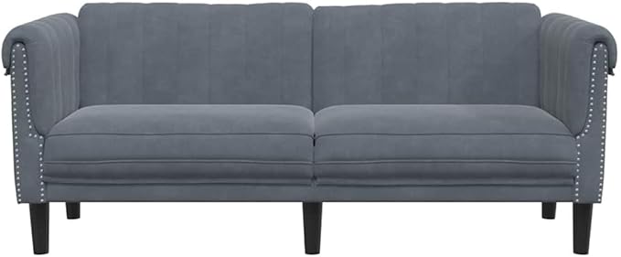vidaXL Dark Gray Velvet 2-Seater Upholstered Loveseat - Comfortable Modern Couch with Supportive Legs for Living Room