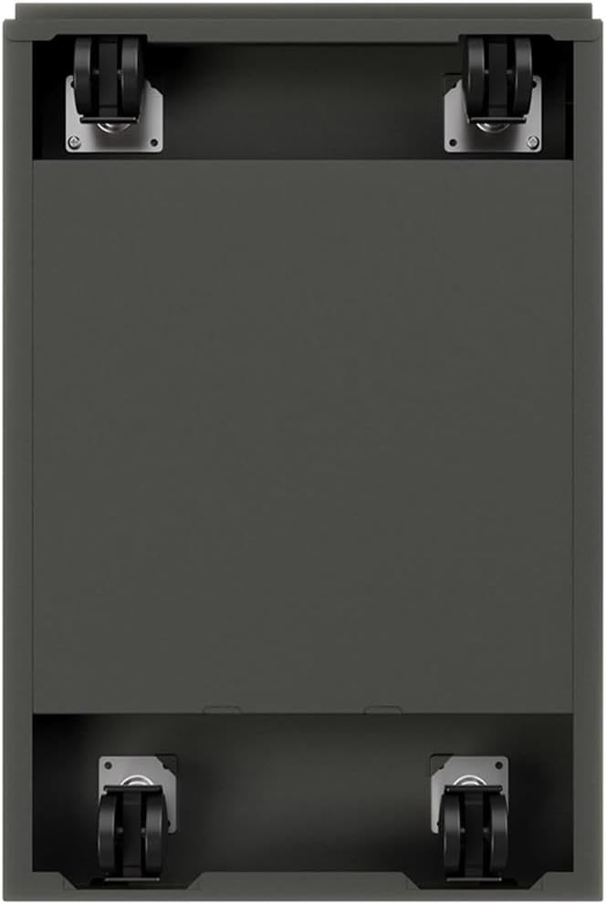 BOWERY HILL Mobile Pedestal File Cabinet 20 in Depth Steel Construction Charcoal Finish 2-Drawer Box/File Configuration Lockable Letter-Size Hanging File Storage Office Roll Filing Cabinet