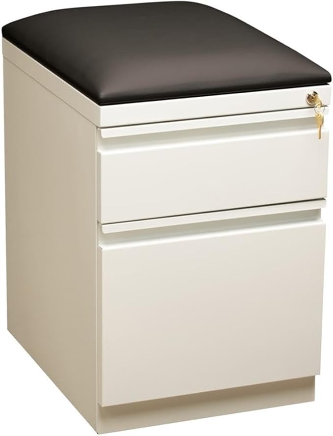 Pemberly Row 2-Drawer Metal Mobile Filing Cabinet 23.75 H x 15.00 W x 19.88 D Steel Construction White/Black Finish Hidden Casters Cushion Seat Letter-Size Hanging File Storage for Office Use