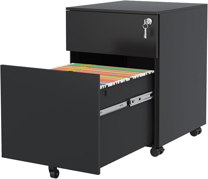 Mobile File Cabinet Steel Mobile File Cabinet with 2 Drawers Lock Steel File Cabinet for Home Office Letter A4(Black)