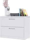 HASMI Filing Cabinet 2 Drawer Rolling File Cabinet Metal Mobile Filing Cabinet with Lock Under Desk Anti-Tilt Wide File Cabinet for Office Home White Storage Cabinet yuqing2022