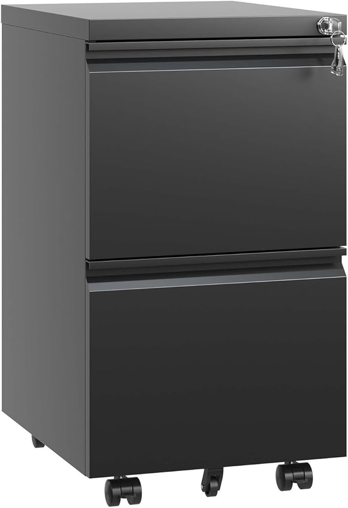 2 Drawer Mobile File Cabinet Rolling Vertical Metal Filing Cabinet with Lock for Home Office A4/Letter/Legal Size Folder Fully Assembled Except Wheels Black