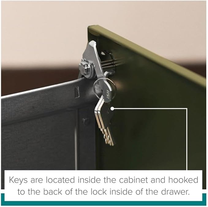Pemberly Row 2 Drawers 27.75 Vertical Charcoal Metal Filing Cabinet Lockable Pre-Assembled Stationary Letter Size for Home Office