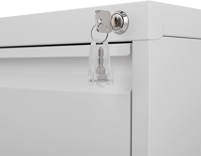 4 Drawer File Cabinet with Lock Metal Vertical Filing Storage Cabinet for Office Home Filing Cabinet with 4 Drawer for Legal/Letter/A4/F4 Size (Require Assembly)