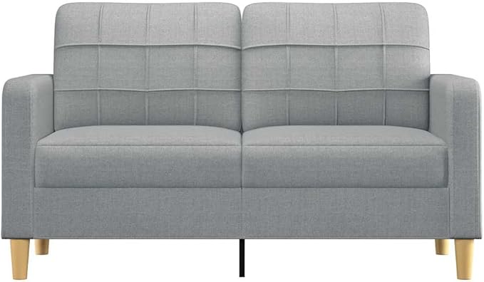 vidaXL Fabric Sofa 2-Seater Lounge Couch with Metal Frame Modern Light Gray Fabric Sofa for Living Room Lounge Bedroom Indoor Use Dimensions: 62.2 x 30.3 x 31.5