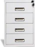 HASMI Filing Cabinet Metal Cabinet File Cabinet Office Data Cabinet Low Cabinet with Lock Tool Cabinet Drawer Small Cabinet Balcony Storage Cabinet Storage Cabinet (Color : 6) yuqing2022
