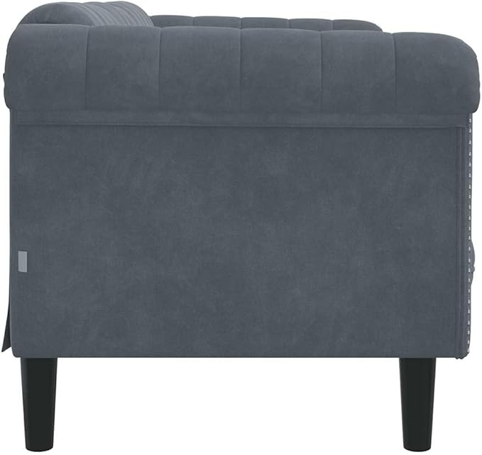 vidaXL Dark Gray Velvet 2-Seater Upholstered Loveseat - Comfortable Modern Couch with Supportive Legs for Living Room