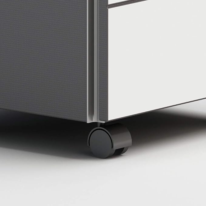 COAECJ Filing CabinetsFile Shelves for Desk File Cabinet 2-Layer Drawer Metal Moving File Cabinet Simple Modern Locker Office Data Storage Cabinet with Lock Key Fully Assembled