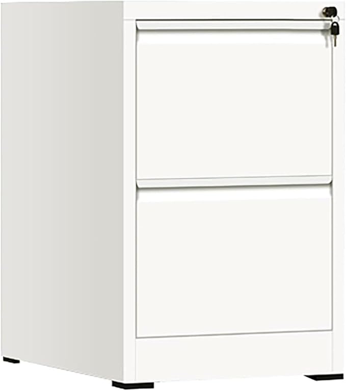 Aimeryup 2-Tier File Cabinet Metal Clip Drawer with Lock Storage Low Desk Cabinet Office Study Hotel 42X62X72.8CM(Size:45X62X72.8CMColor:B)