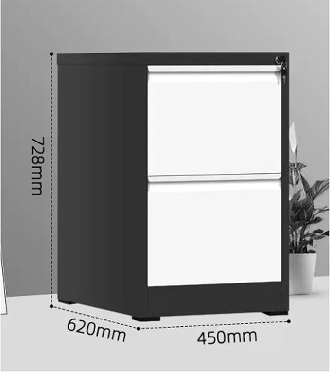 Aimeryup 2-Tier File Cabinet Metal Clip Drawer with Lock Storage Low Desk Cabinet Office Study Hotel 42X62X72.8CM(Size:45X62X72.8CMColor:B)