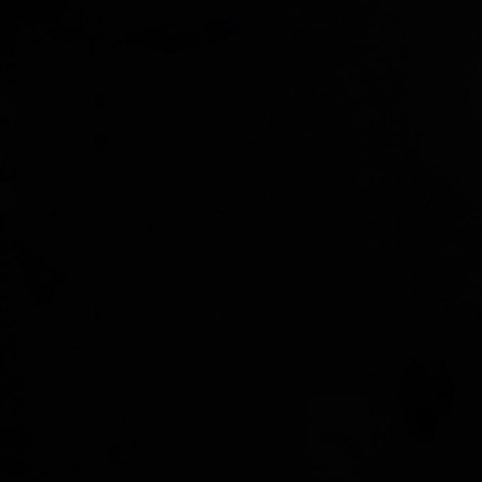 Safavieh Couture Collection Maia Black 2-Drawer Lacquer Desk