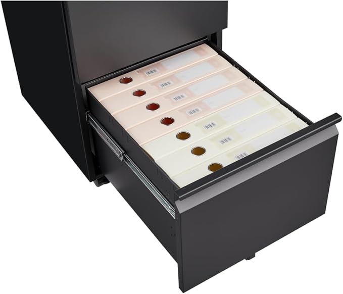 3-Drawer Mobile Filing Cabinet with Lock Metal Filing Cabinet to be Installation Required (2 Drawer Black)