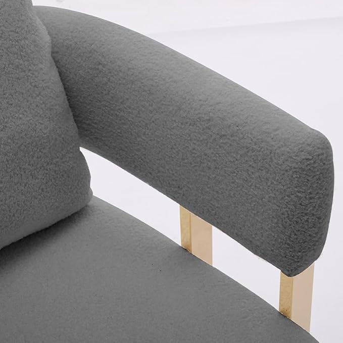 TS Modern Decorative Chair Living Room Side Chair with Gold Metal Legs no Wheels Suitable for Dressing Area Reception Room OfficeTeddy Fleece upholstered Metal Foot Sofa 1PC Grey