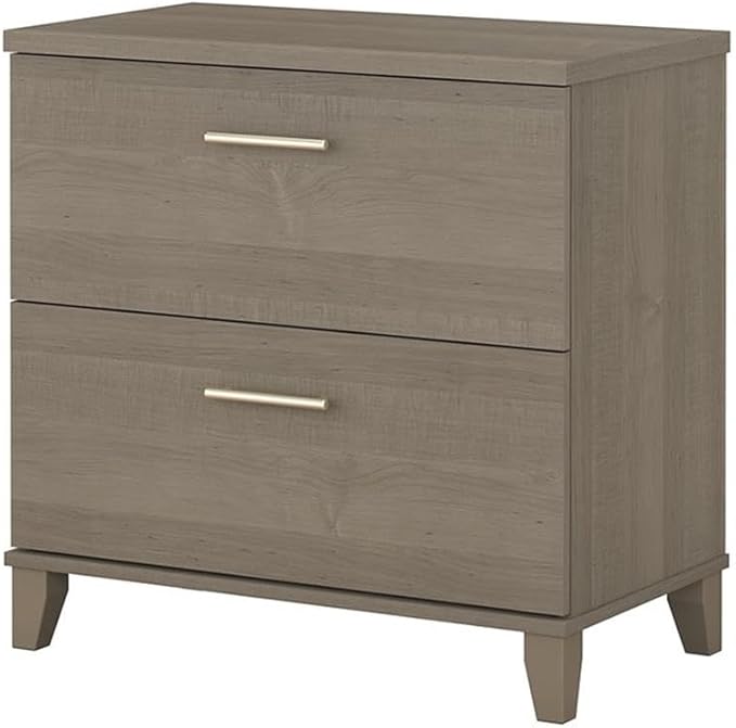 Pemberly Row Lateral 2 Drawer File Cabinet 29.72 W x 16.69 D x 29.15 H Ash Gray Finish Contemporary Metal Hardware Full-Extension Ball Bearing Slides Home Office Filing Storage Solution